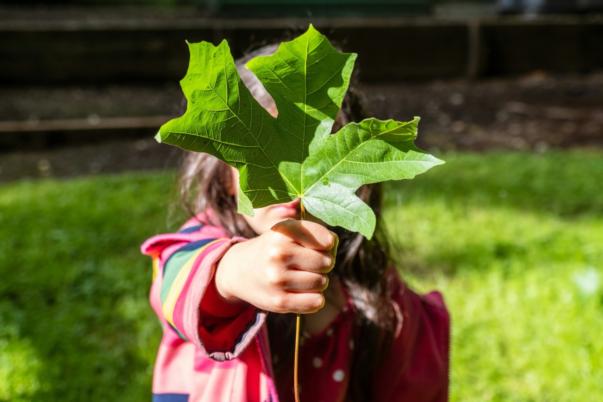 The Future of Environmental Science: Protecting Our Planet